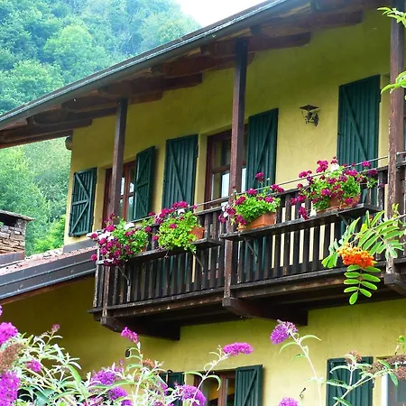 Notte Stellata * Gaiola