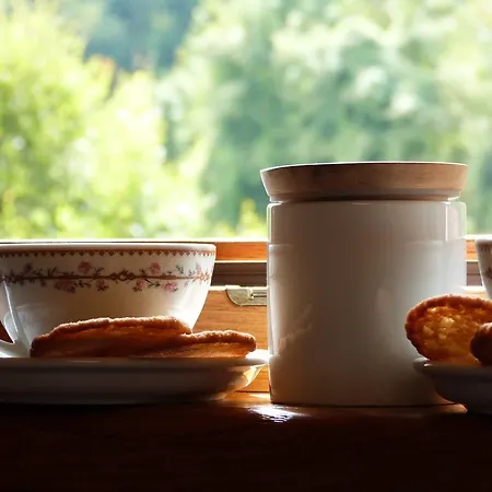 Notte Stellata * Gaiola