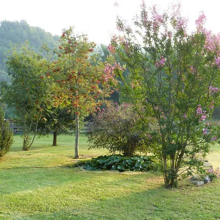 住宿加早餐酒店 斯泰拉塔罗缇住宿加早餐旅馆 加约拉