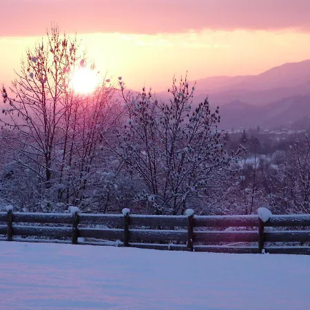 住宿加早餐酒店 斯泰拉塔罗缇住宿加早餐旅馆 加约拉