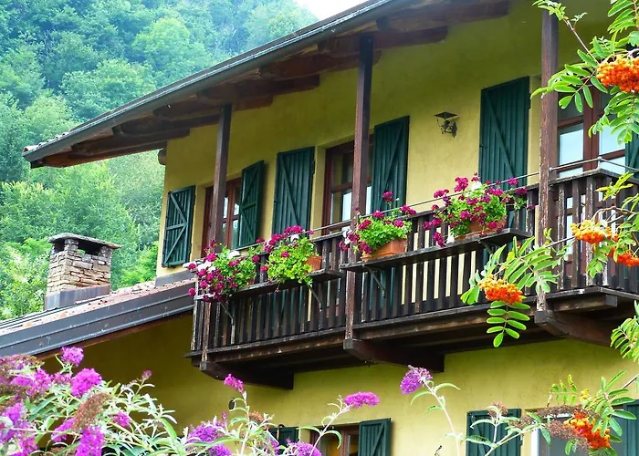 Notte Stellata * Gaiola