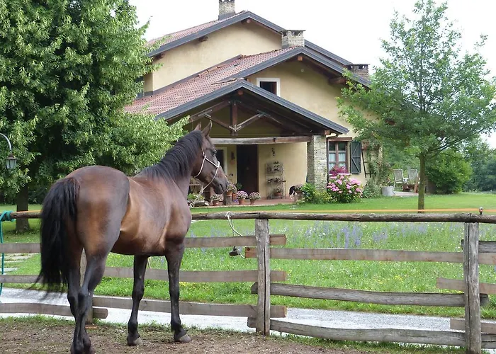 Alojamento de Acomodação e Pequeno-almoço Notte Stellata *