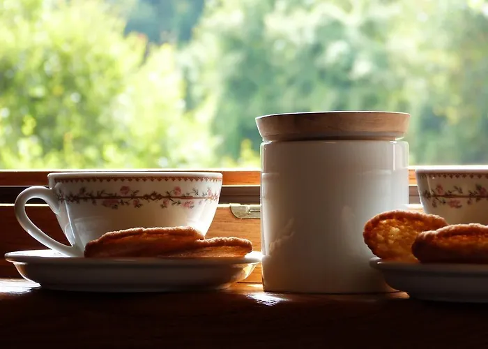 Notte Stellata * Gaiola