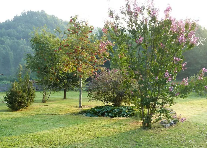 Couette-café Notte Stellata Gaiola